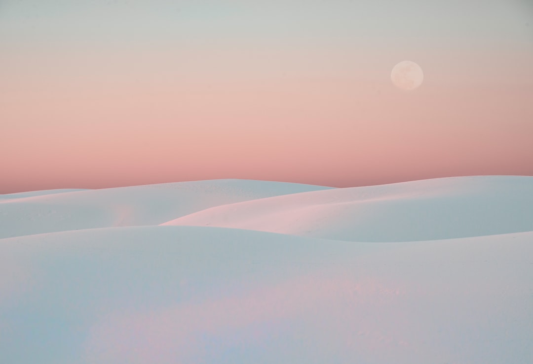 Wallpaper