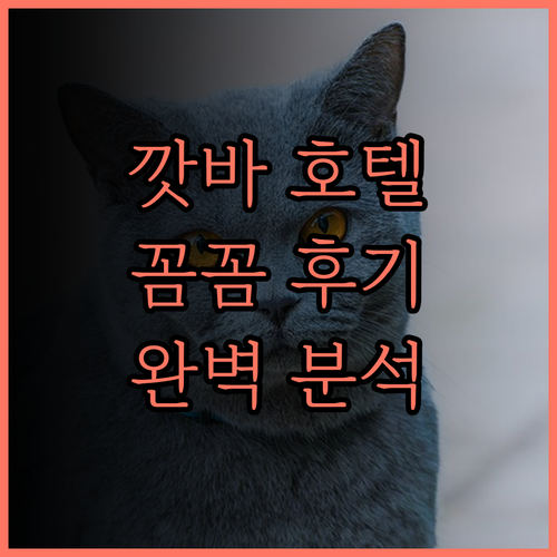 깟바 파라다이스 호텔 꼼꼼 후기 쾌적