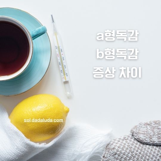a형독감 b형독감 증상 차이 격리기간 