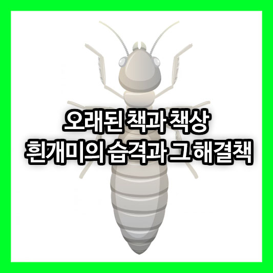 오래된 책과 책상, 흰개미의 습격과 그 해결책