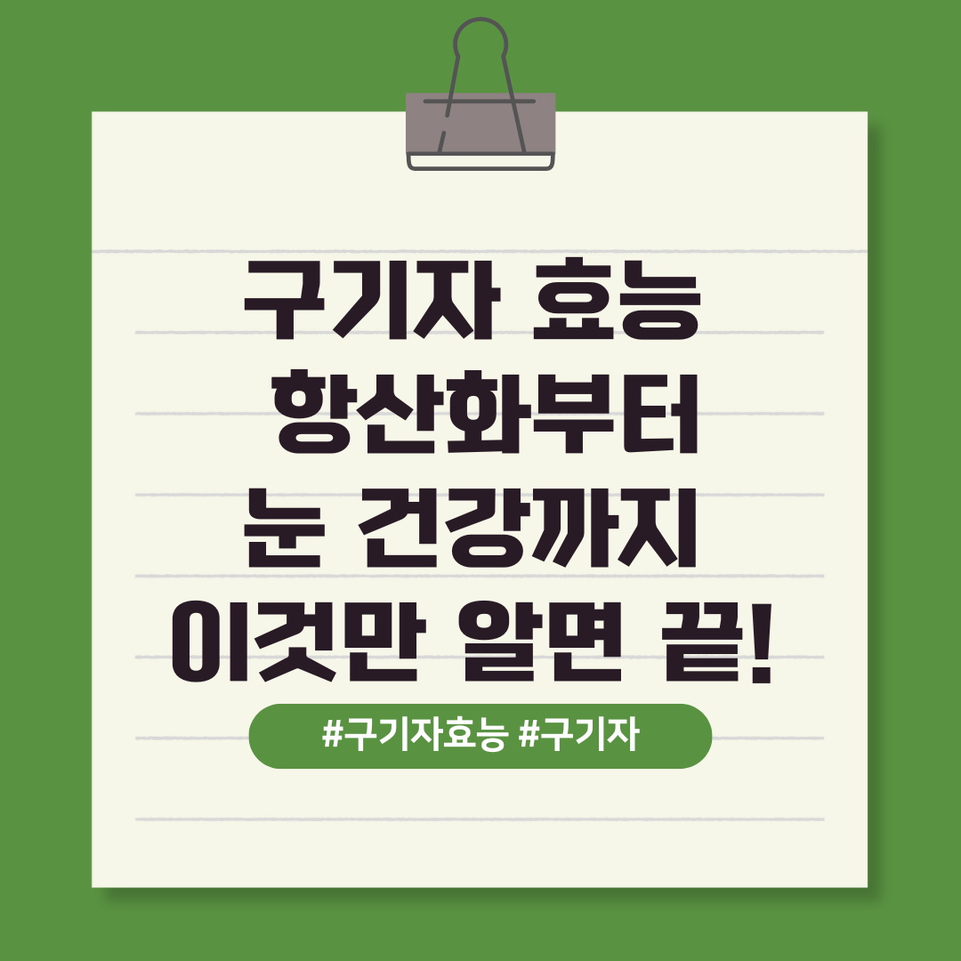 구기자 효능 항산화부터 눈 건강까지 이것만 알면 끝! 텍스트 이미지