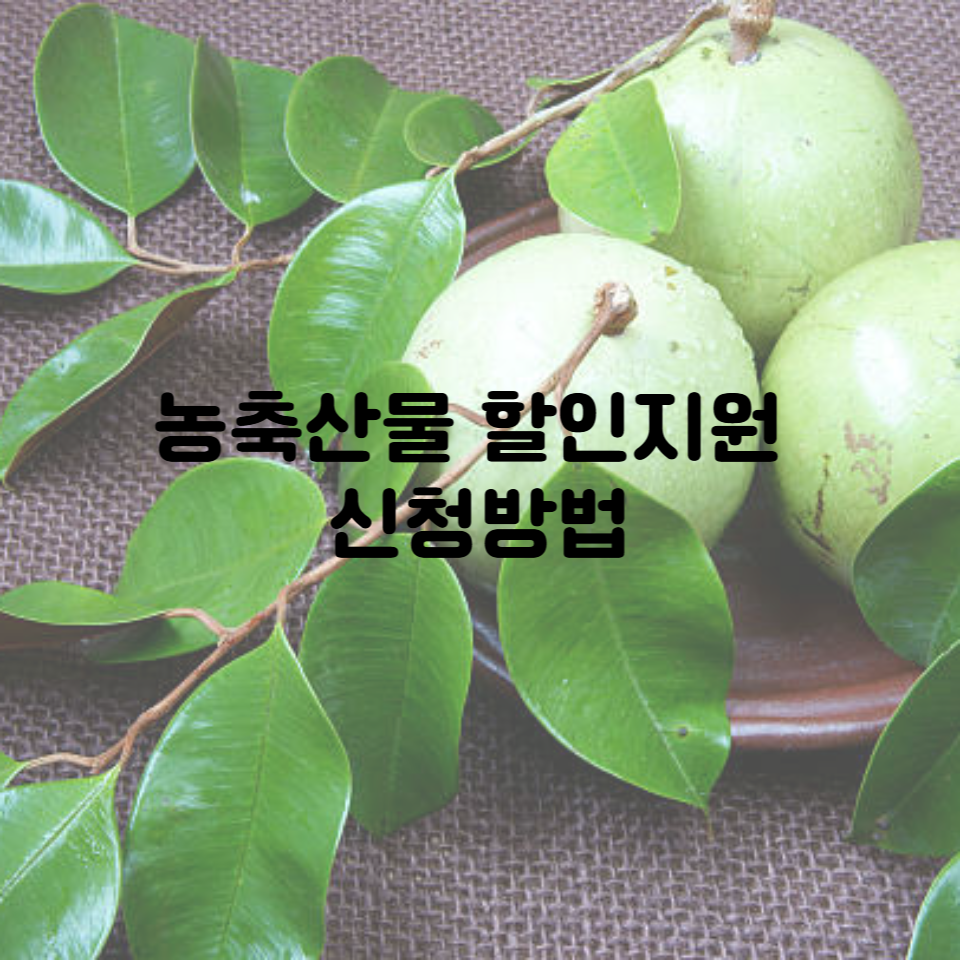 농축산물 할인지원 신청방법│놓치면 후회하는 이 '할인정보'