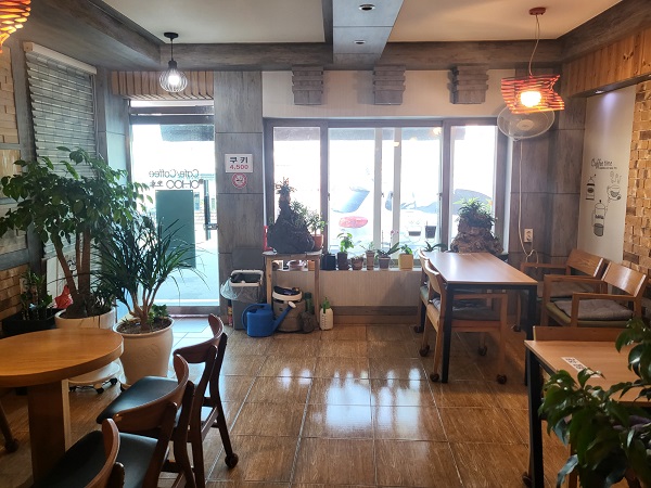거문도 카페 오후 내부 전경-2