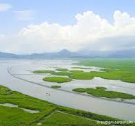 에코투어리즘(친환경생태여행)-순천만습지