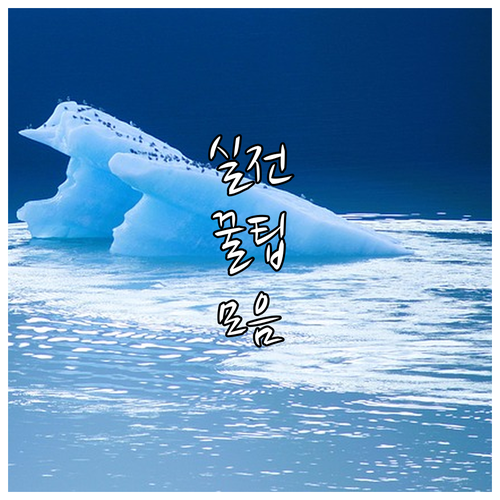 새내기 엄마 필수 2025 원주시 산..