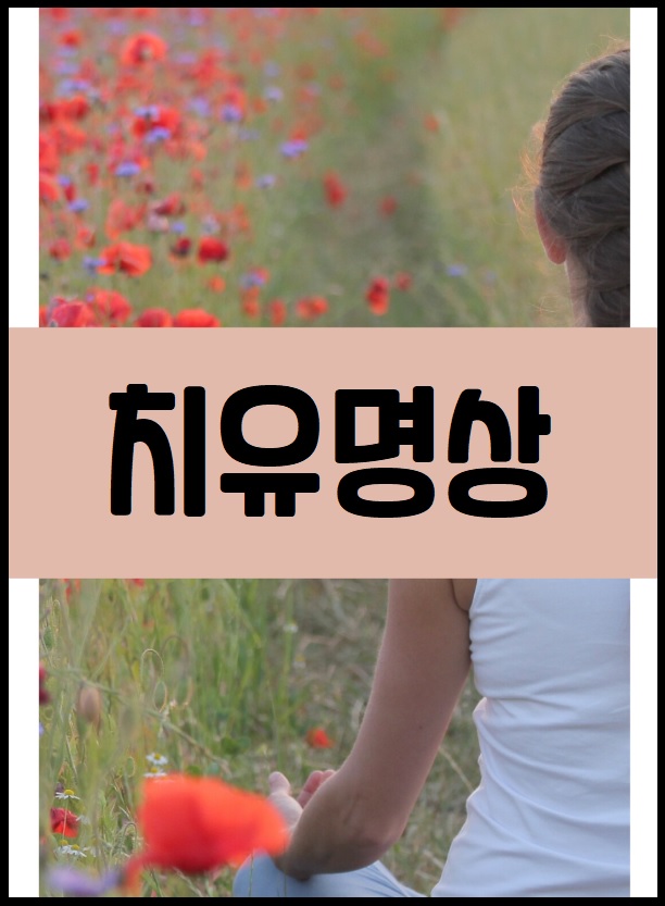치유명상