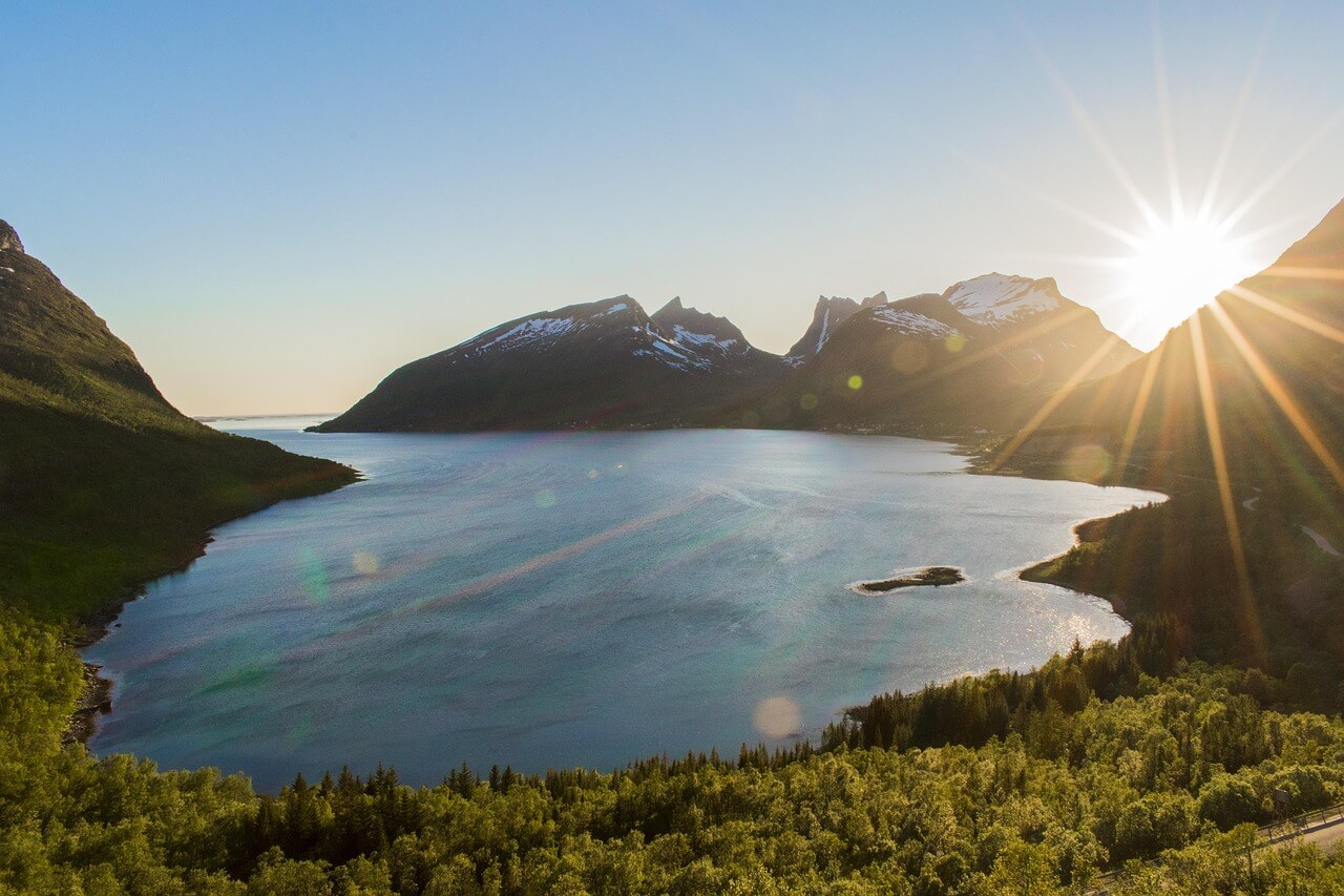 북유럽 포크음악의 부활