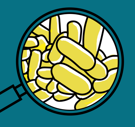 레지오넬라균 이미지