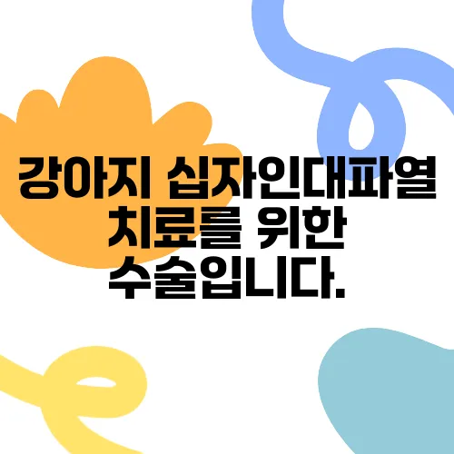 강아지 십자인대파열 치료를 위한 수술입니다.