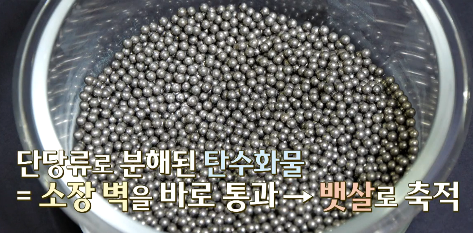 BNR17유산균 효능