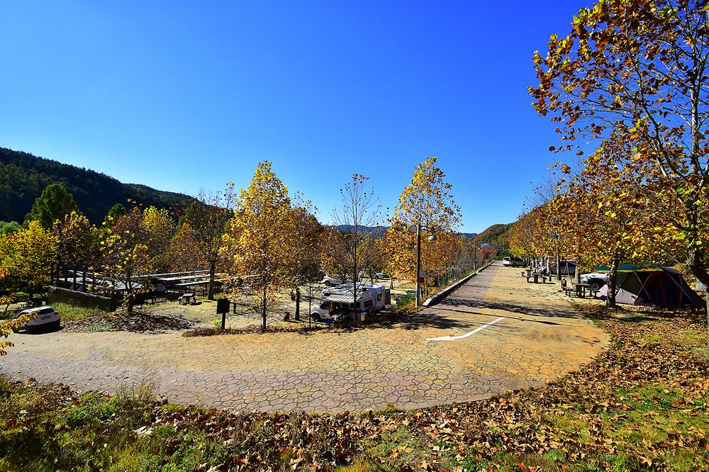 상의자동차야영장. 경상북도 청송군 주왕산면 상의리 368