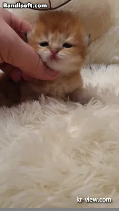 img.webp?credential=yqXZFxpELC7KVnFOS48ylbz2pIh7yKj8&expires=1767193199&allow_ip=&allow_referer=&signature=2JPt%2FbninEFtWQVgmh%2FPy2Cpbck%3D