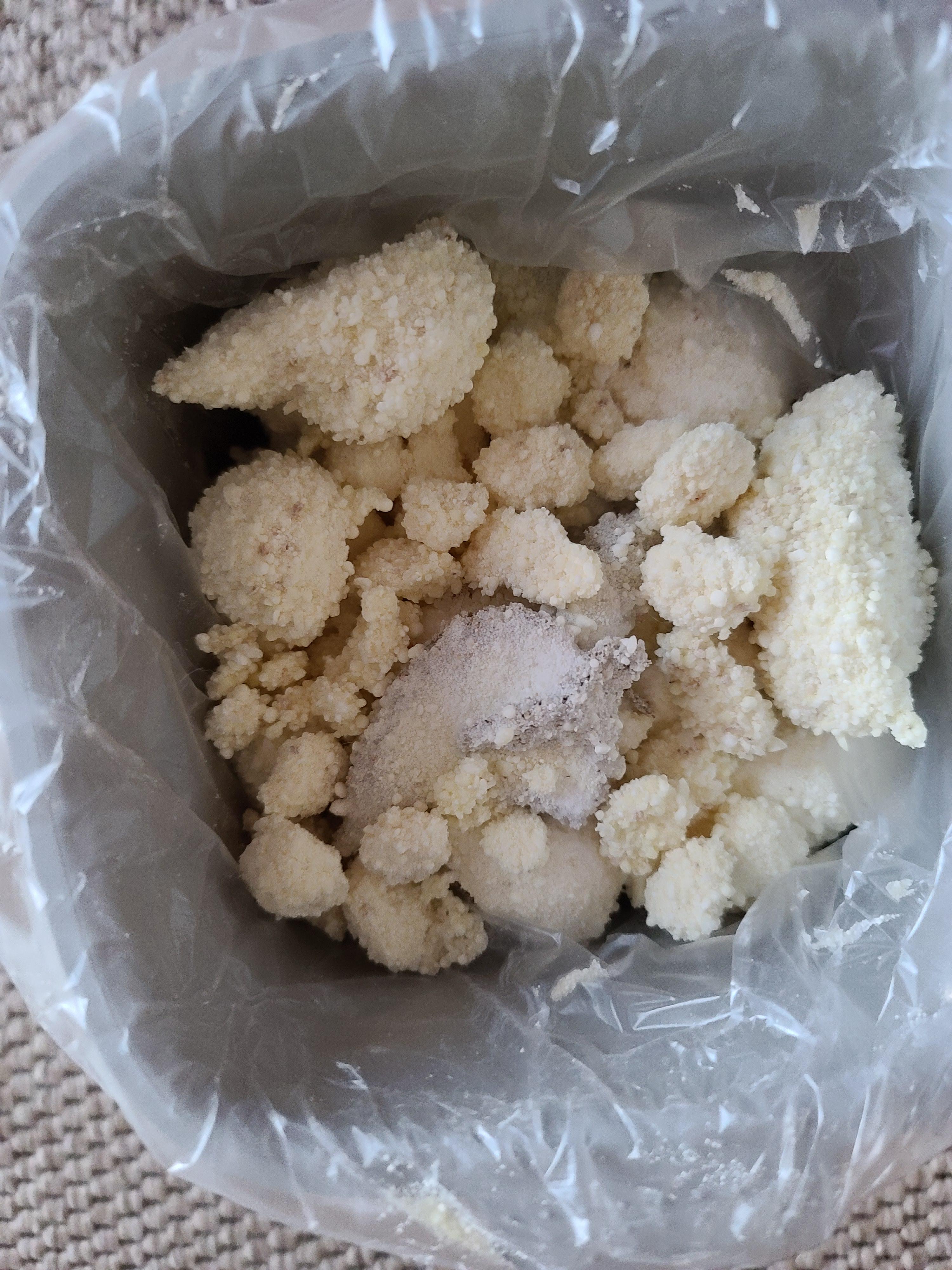 막둥이 삐용이의 방광염 스토리. 내가 생각하는 막둥이 방광염의 원인. 고양이 방광염.