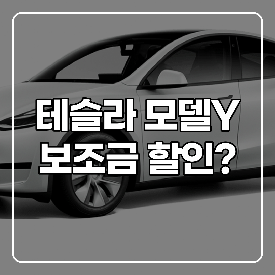 테슬라 모델 Y 가격