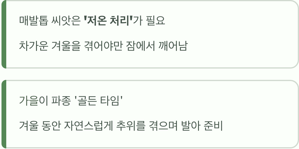 씨앗의 잠을 깨우는 &amp;#39;차가운 겨울&amp;#39;의 비밀