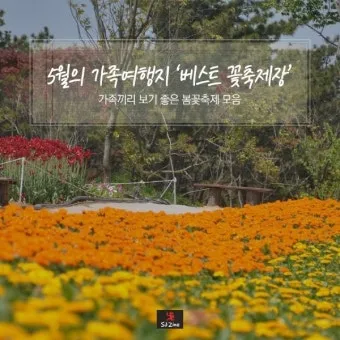 5월 가봐야할 전국 축제 10선 가족 연인 최고 명소_19