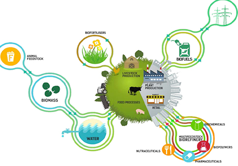 식품자원경제학과 전망 및 전국대학리스트