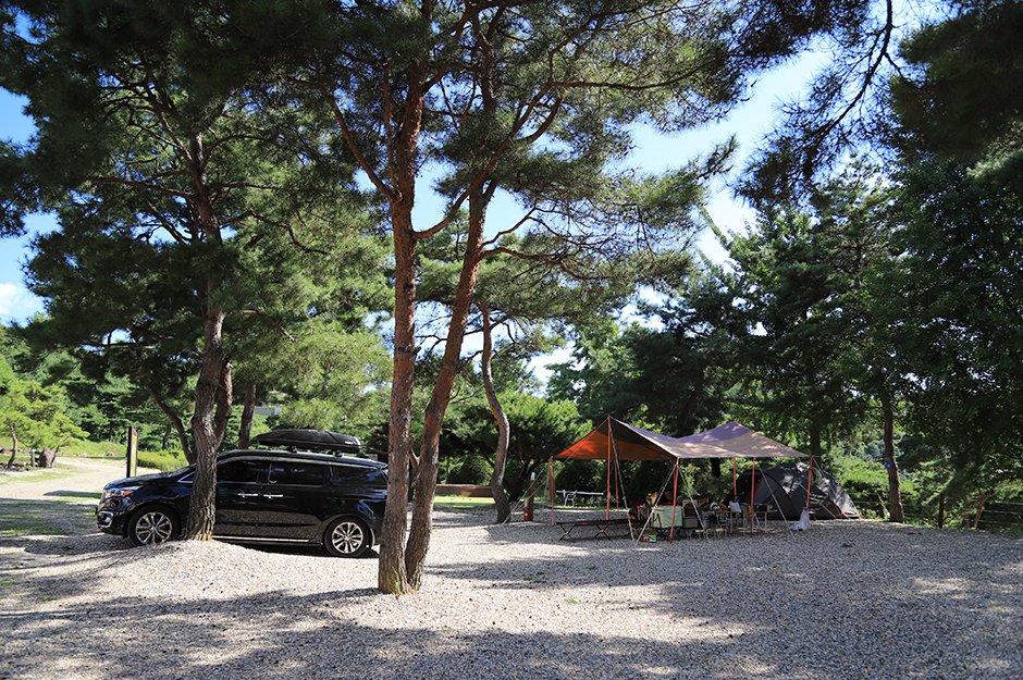 솔뜰 캠핑장