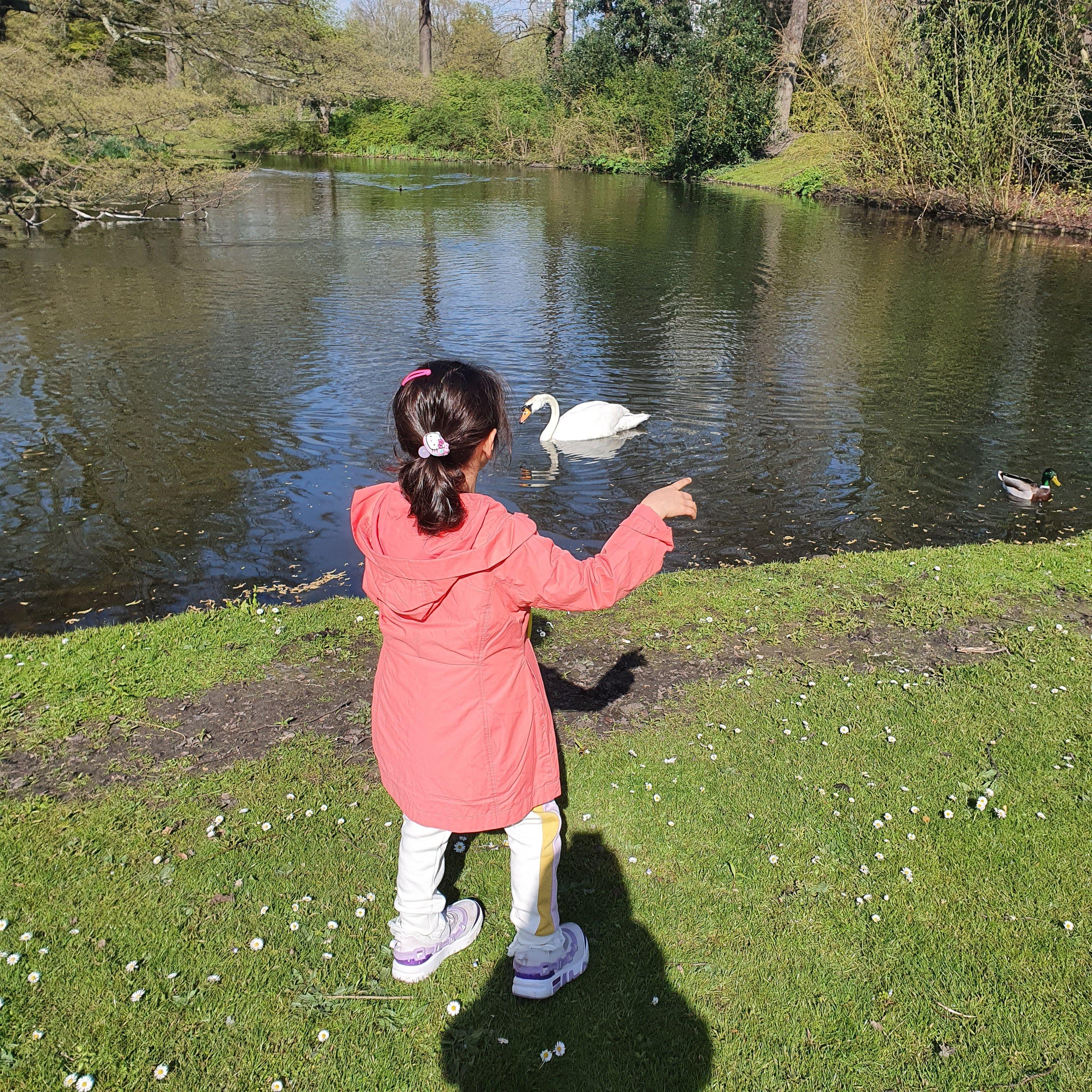het park.