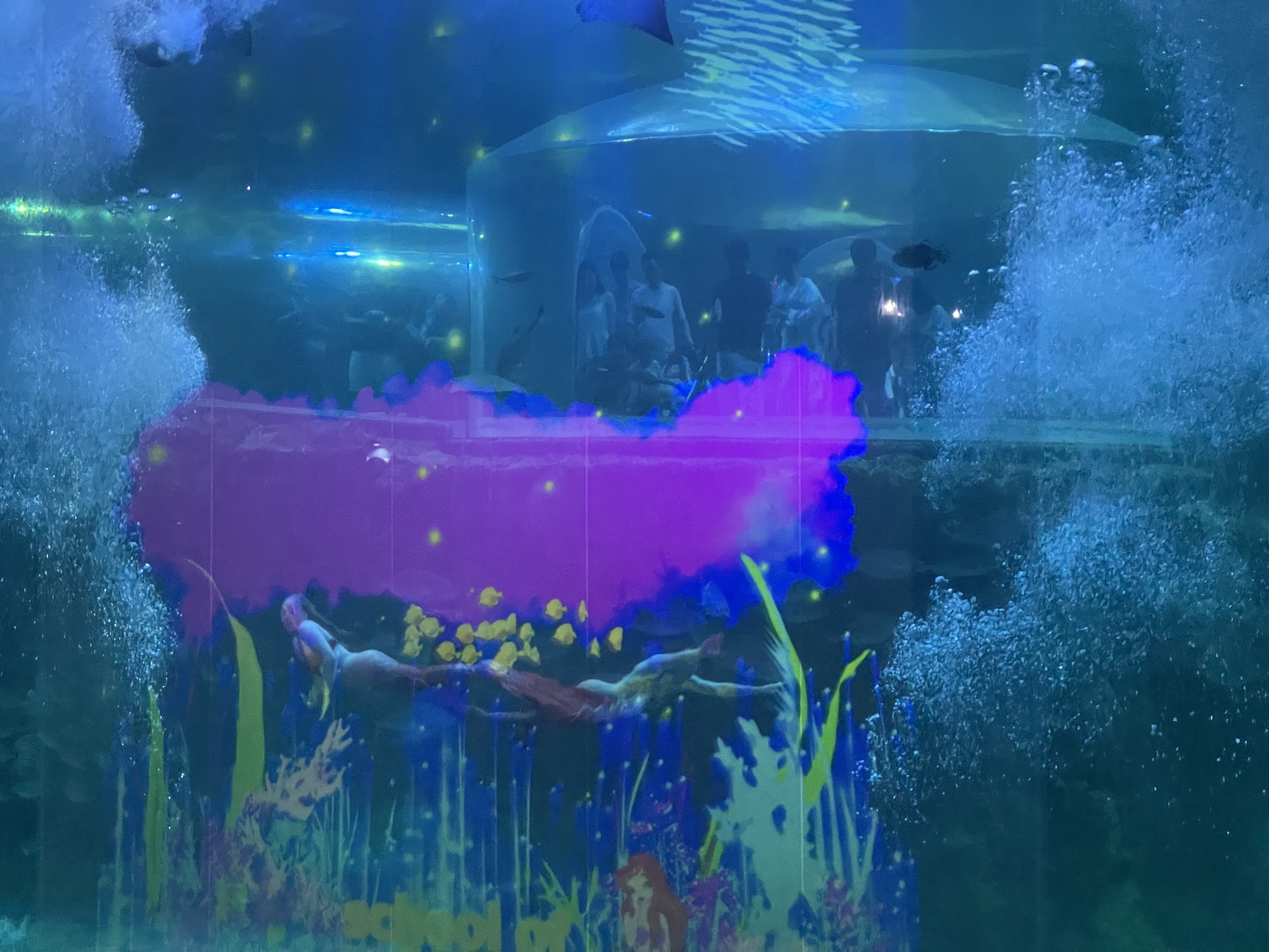 여수 아쿠아플라넷