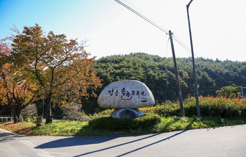 강릉솔향수목원