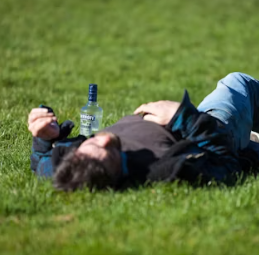 당귀 효능 부작용 뿌리 고르는법