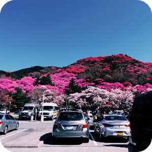 황매산 군립공원 주차 이미지