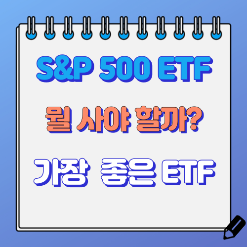 블루베리 효능효과