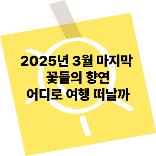 2025년 3월 마지막 주말 꽃들의 향연 어디로 여행 떠날까