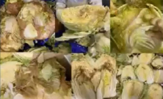 한성식품 명인김치