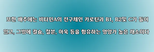  또한 배추에는 비타민A의 전구체인 카로틴과 B1, B2및 C가 들어 있고, 그밖에 칼슘, 철분, 아욱 등을 함유하는 영양가 높은 채소이다