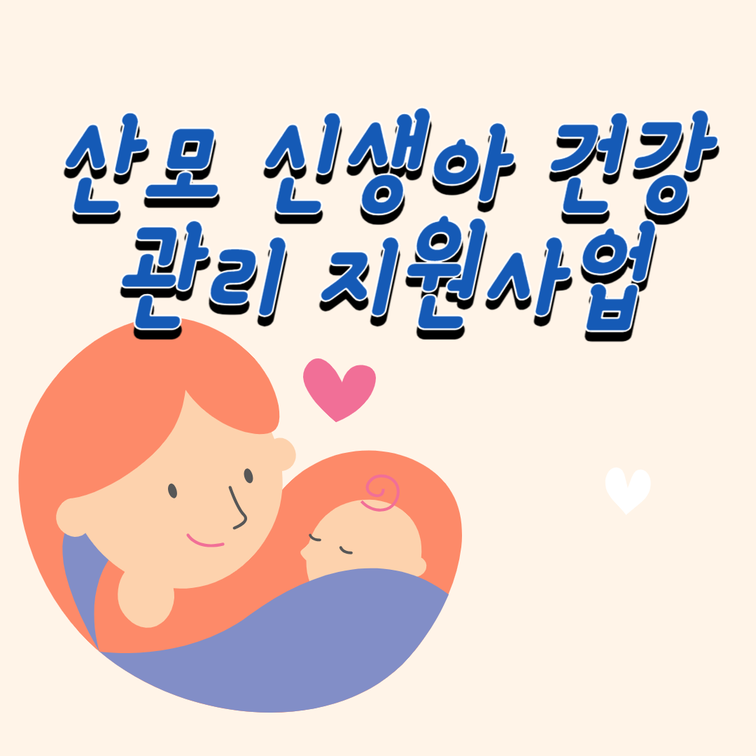 산모 신생아 건강관리 지원사업