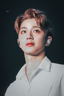 워너원 화보사진