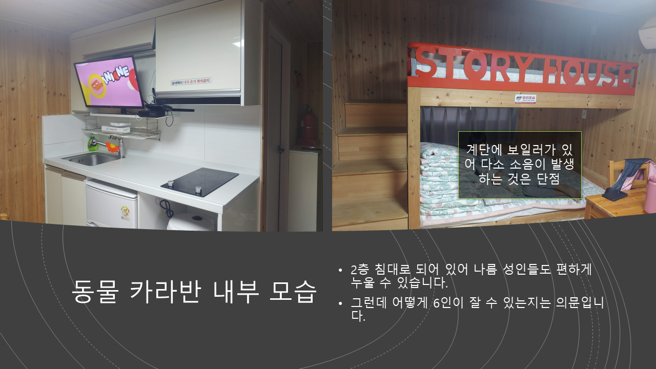 영덕 코끼리 카라반 내부 모습