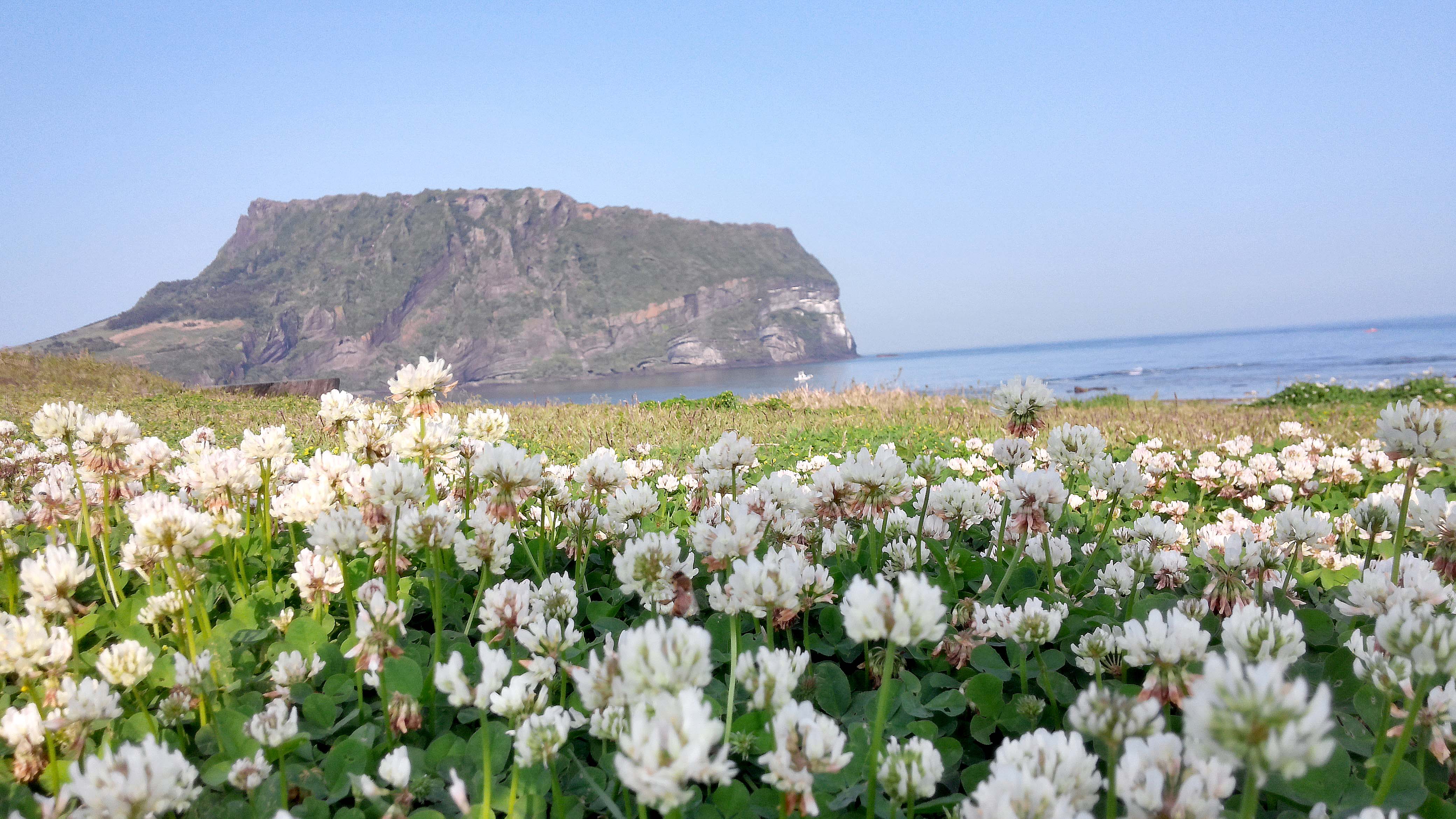 광치기해변(Gwangchigi Beach)