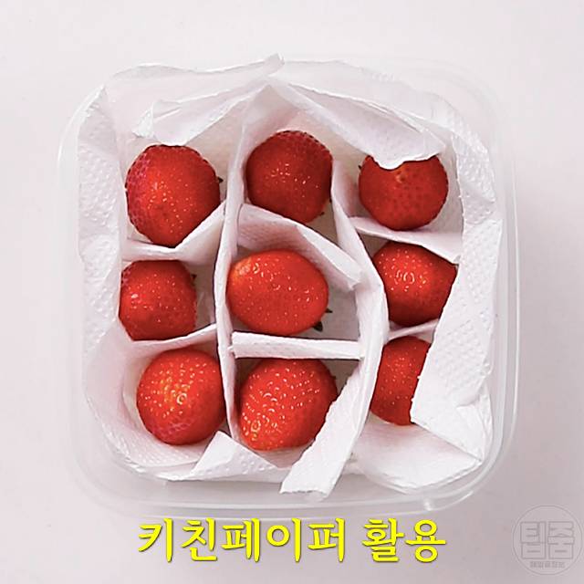 딸기 보관법 딸기보관기간 딸기냉장보관 딸기냉동보관법