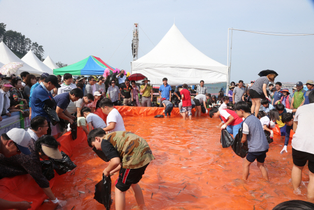 서천 홍원항 전어 꽃게 축제