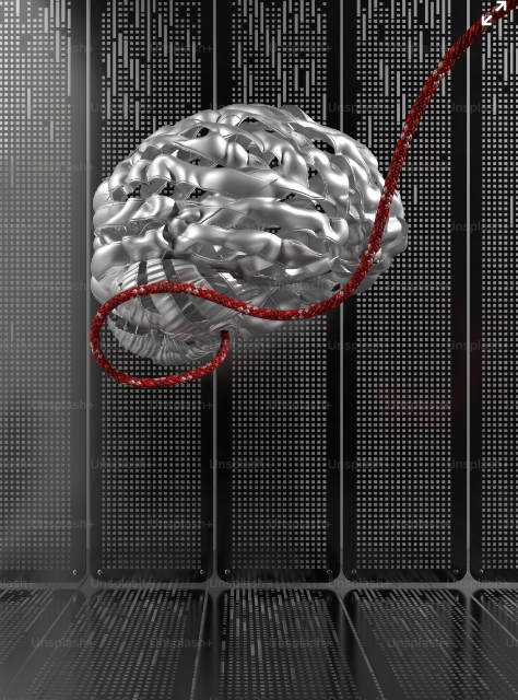 인간의 두뇌가 불필요한 기억을 지우는 이유 뇌가 자동으로 필요 없는 정보를 삭제하는 과정