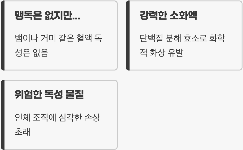 '독'이 있나요? 궁금증 해결