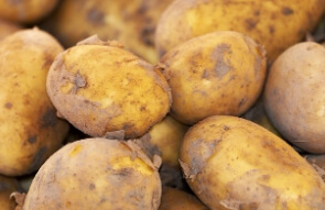 알레르기 비염에 좋은 감자