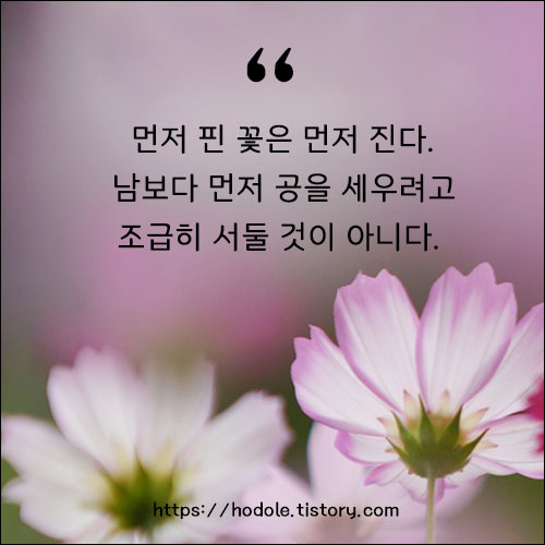 채근담