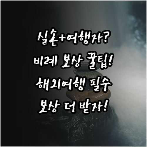 실손보험 중복 가입 시 해외여행자보험..
