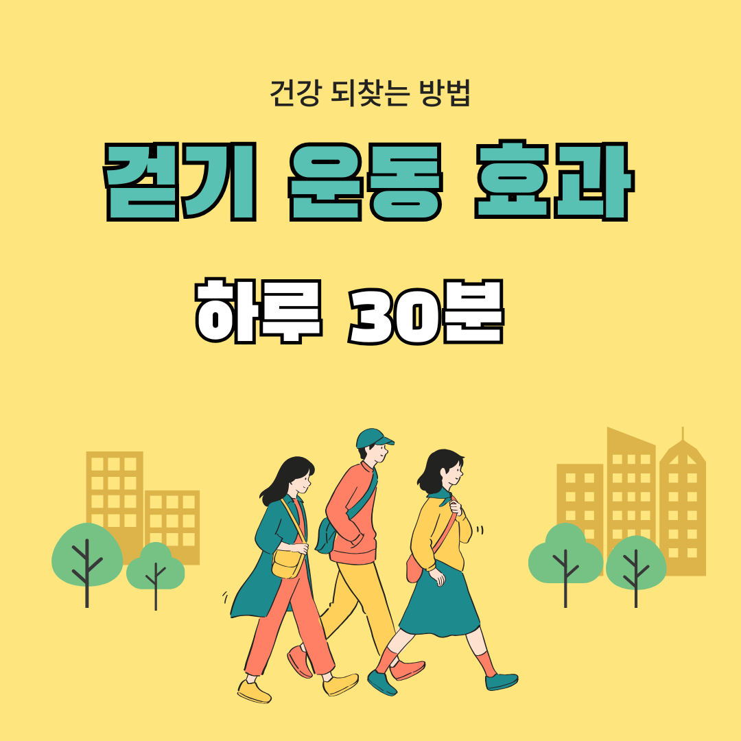 걷기 운동 효과와 실천법 하루 30분으로 건강 되찾는 방법