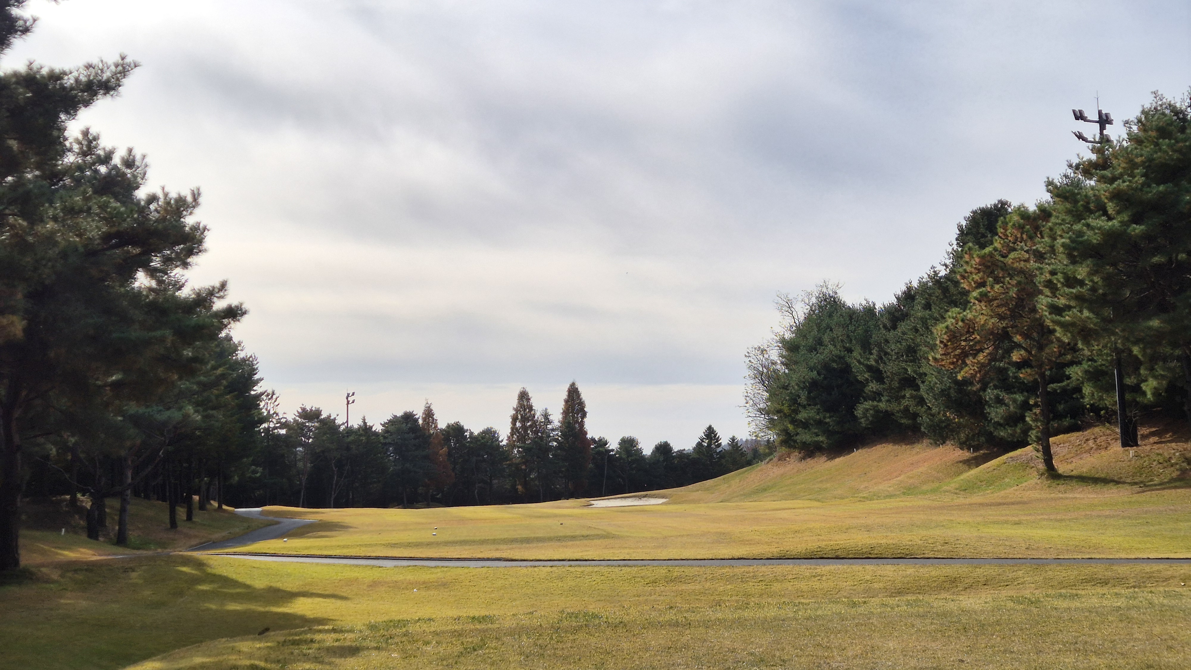 세종에머슨cc 밸리코스 사진 및 공략 정보