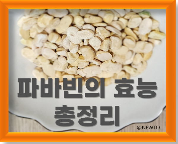 파바빈의 효능 총정리 : 역사;효능,먹는방법,주의사항