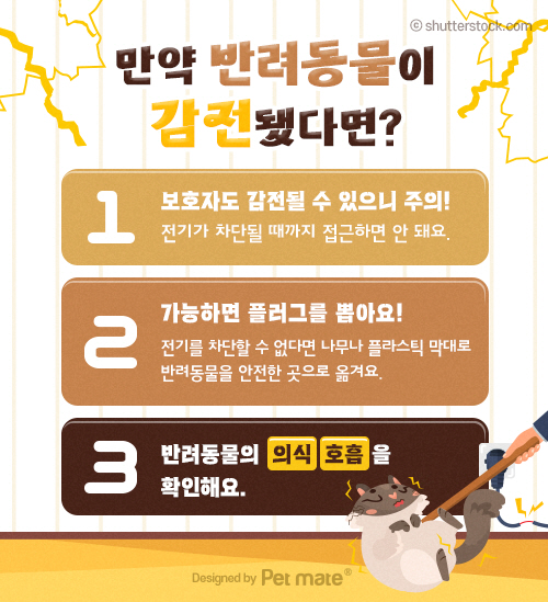 케이블 정리함 추천 아이 있는 집 안전 사용