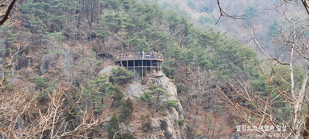 거창 Y 자형 출렁다리 (입장권 현장구매가능) 경남 가볼만한곳