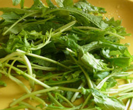 미나리 효능 부작용 고르는법 칼로리