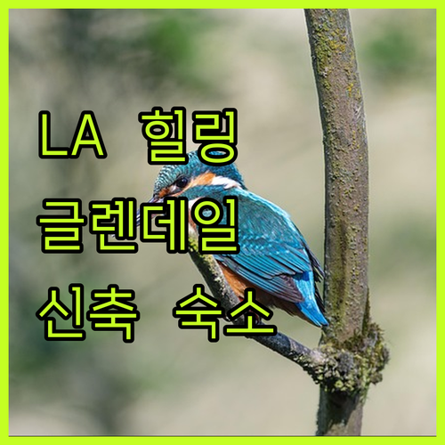 LA 강 생태 구역 힐링 코스와 글렌..