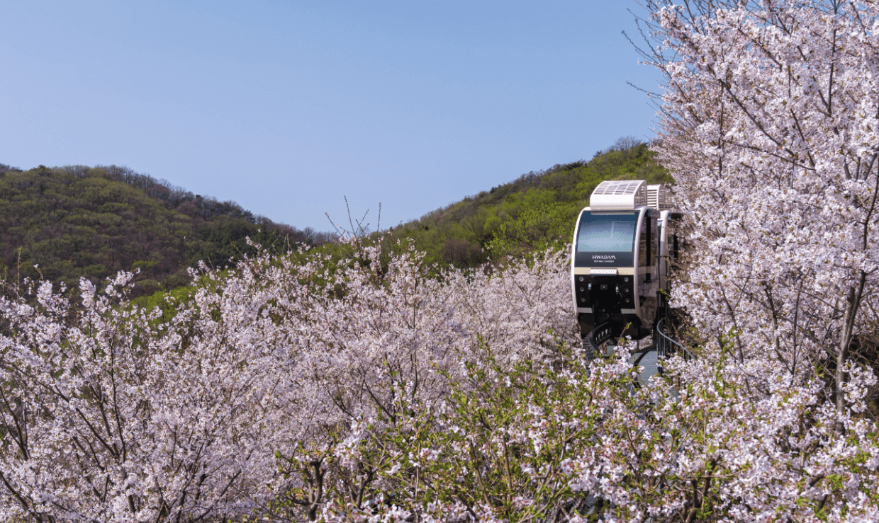 화담숲 모노레일예약필수